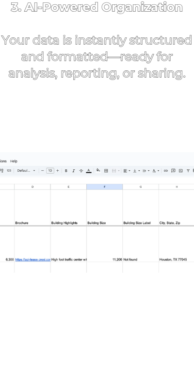 Step 3: AI-organized data ready for use